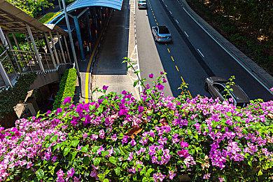 类文字游戏《狂人日记》上线Steam页面 4月正式发售